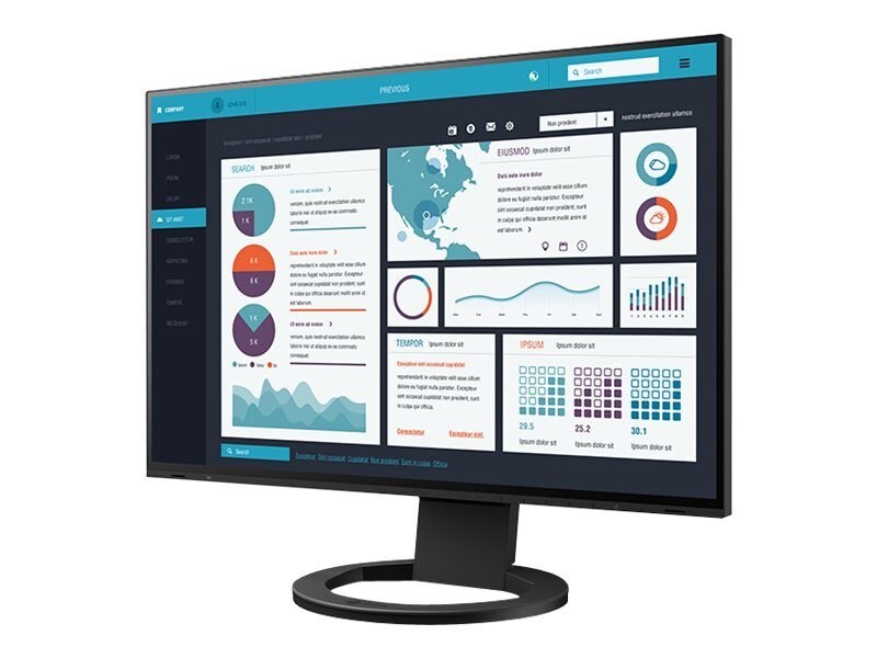 Eizo EV2495