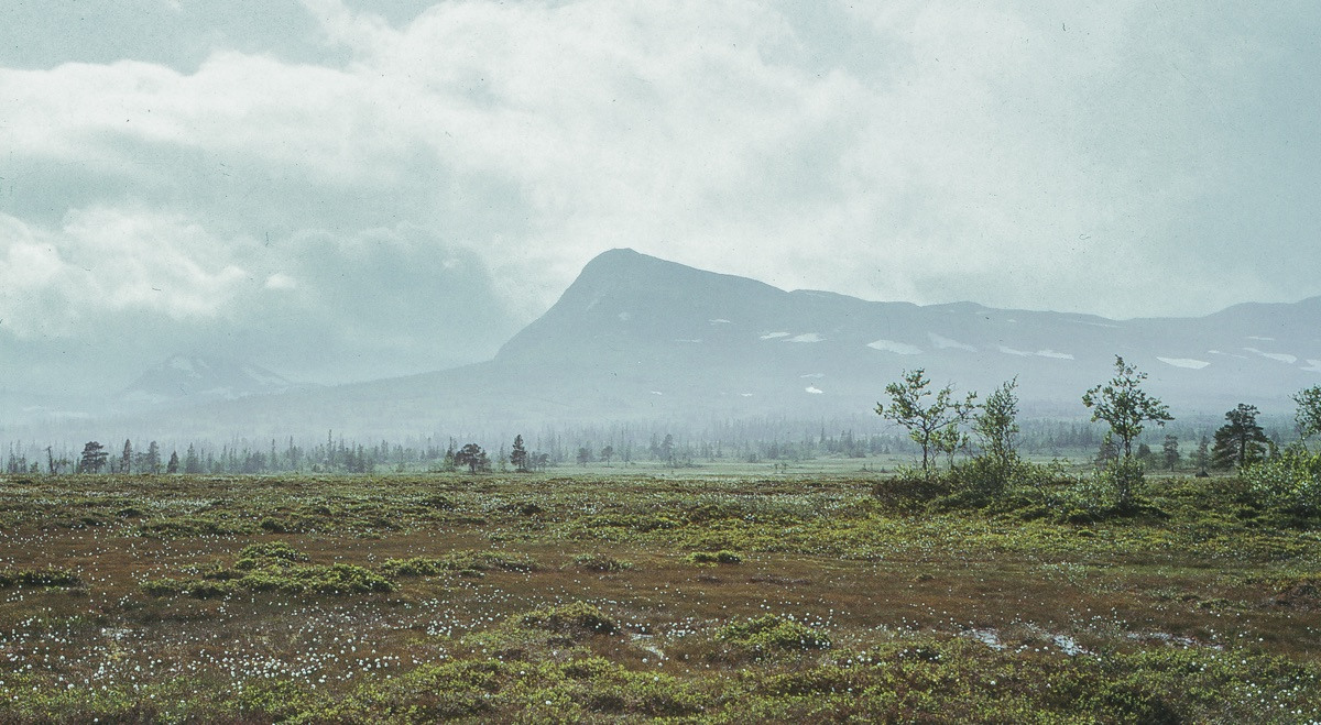 Landskapsbild med fjäll i dimma